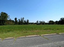 Tract 16 Cowpen 3.76+/- Acres of Residential and Farm Land For Sale in Robeson County, NC!