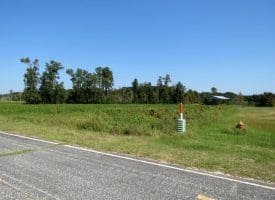 Tract 16 Cowpen 3.76+/- Acres of Residential and Farm Land For Sale in Robeson County, NC!