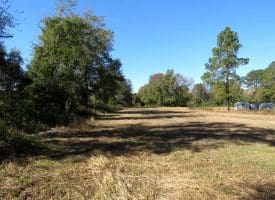 5.5+/- Acres of Residential and Farmland For Sale in Scotland County, NC!