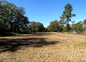 5.5+/- Acres of Residential and Farmland For Sale in Scotland County, NC!