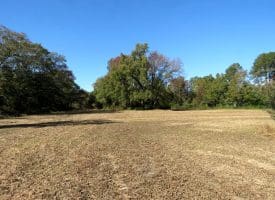 5.5+/- Acres of Residential and Farmland For Sale in Scotland County, NC!