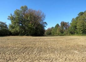 5.5+/- Acres of Residential and Farmland For Sale in Scotland County, NC!