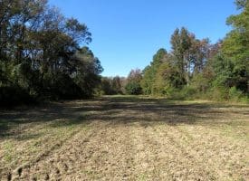 5.5+/- Acres of Residential and Farmland For Sale in Scotland County, NC!