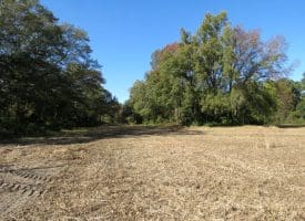 5.5+/- Acres of Residential and Farmland For Sale in Scotland County, NC!