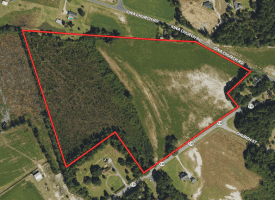 41+/- Acres of Residential and Hunting Land For Sale in Robeson County, NC!