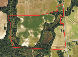 105+/- Acre Farm For Sale in Robeson County, NC!!