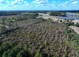 41+/- Acres of Residential and Hunting Land For Sale in Robeson County, NC!