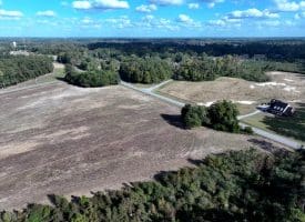 41+/- Acres of Residential and Hunting Land For Sale in Robeson County, NC!