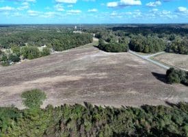 41+/- Acres of Residential and Hunting Land For Sale in Robeson County, NC!