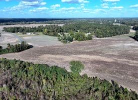 41+/- Acres of Residential and Hunting Land For Sale in Robeson County, NC!