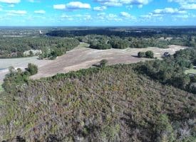 41+/- Acres of Residential and Hunting Land For Sale in Robeson County, NC!