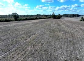 41+/- Acres of Residential and Hunting Land For Sale in Robeson County, NC!