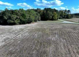 41+/- Acres of Residential and Hunting Land For Sale in Robeson County, NC!