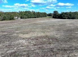 41+/- Acres of Residential and Hunting Land For Sale in Robeson County, NC!