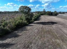 41+/- Acres of Residential and Hunting Land For Sale in Robeson County, NC!