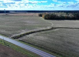 27+/- Acres of Farm Land For Sale in Lenoir County, NC!