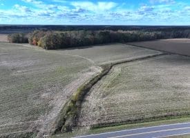 27+/- Acres of Farm Land For Sale in Lenoir County, NC!