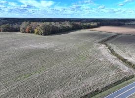 27+/- Acres of Farm Land For Sale in Lenoir County, NC!