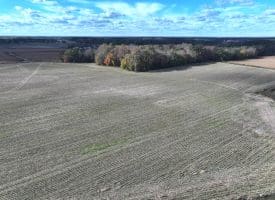 27+/- Acres of Farm Land For Sale in Lenoir County, NC!