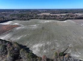 105+/- Acre Farm For Sale in Robeson County, NC!!