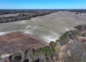 105+/- Acre Farm For Sale in Robeson County, NC!!