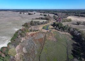 105+/- Acre Farm For Sale in Robeson County, NC!!