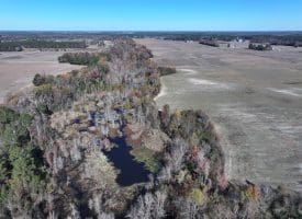 105+/- Acre Farm For Sale in Robeson County, NC!!