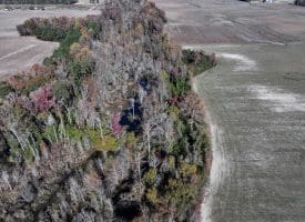 105+/- Acre Farm For Sale in Robeson County, NC!!