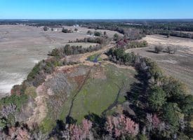 105+/- Acre Farm For Sale in Robeson County, NC!!