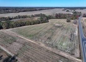 105+/- Acre Farm For Sale in Robeson County, NC!!