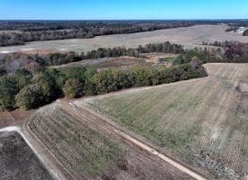 105+/- Acre Farm For Sale in Robeson County, NC!!