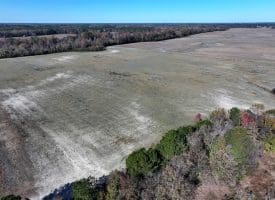 105+/- Acre Farm For Sale in Robeson County, NC!!