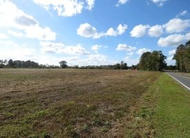 41+/- Acres of Residential and Hunting Land For Sale in Robeson County, NC!