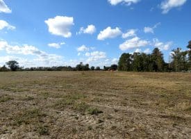 41+/- Acres of Residential and Hunting Land For Sale in Robeson County, NC!