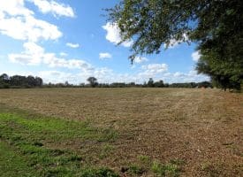 41+/- Acres of Residential and Hunting Land For Sale in Robeson County, NC!