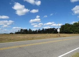 41+/- Acres of Residential and Hunting Land For Sale in Robeson County, NC!