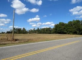 41+/- Acres of Residential and Hunting Land For Sale in Robeson County, NC!