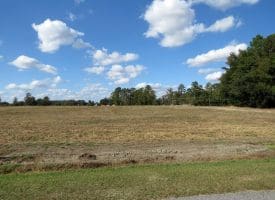 41+/- Acres of Residential and Hunting Land For Sale in Robeson County, NC!