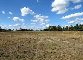 41+/- Acres of Residential and Hunting Land For Sale in Robeson County, NC!