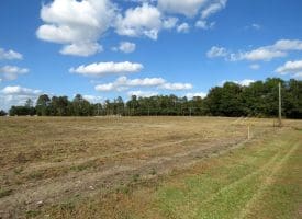 41+/- Acres of Residential and Hunting Land For Sale in Robeson County, NC!