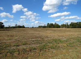 41+/- Acres of Residential and Hunting Land For Sale in Robeson County, NC!