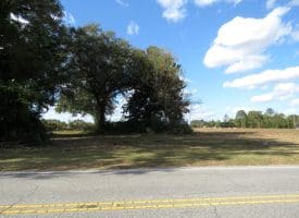 41+/- Acres of Residential and Hunting Land For Sale in Robeson County, NC!