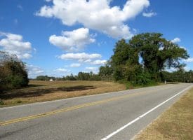 41+/- Acres of Residential and Hunting Land For Sale in Robeson County, NC!