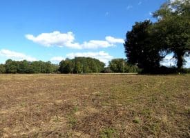 41+/- Acres of Residential and Hunting Land For Sale in Robeson County, NC!