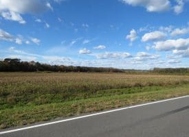 27+/- Acres of Farm Land For Sale in Lenoir County, NC!