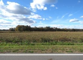 27+/- Acres of Farm Land For Sale in Lenoir County, NC!