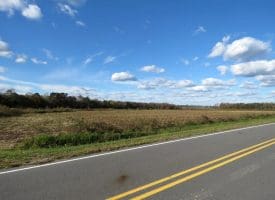 Tract 5 4+/- Acres of Residential and Farm Land for Sale in Robeson County, NC!