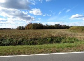 27+/- Acres of Farm Land For Sale in Lenoir County, NC!