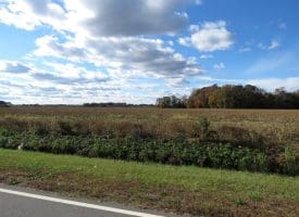 27+/- Acres of Farm Land For Sale in Lenoir County, NC!