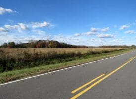 27+/- Acres of Farm Land For Sale in Lenoir County, NC!